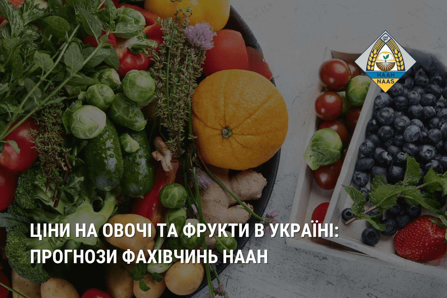 Ціни на овочі та фрукти в Україні: прогнози фахівчинь НААН